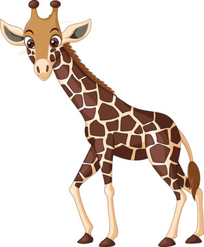 Cartoon giraffe isolated on white background