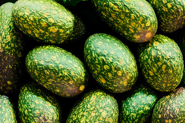 avocadoes, fresh and green, sweet yummy fruit, a healthy food item