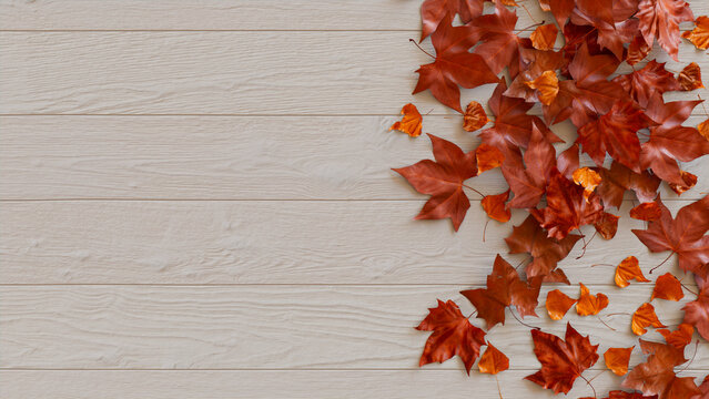 Seasonal Background, with Autumn Leaves on White wood Tabletop. Thanksgiving Concept with space for text.