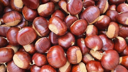 Castagne