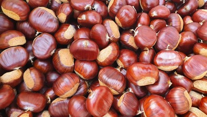 Castagne in cesta