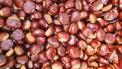 Castagne cesta