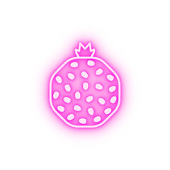 pomegranate section outline neon icon