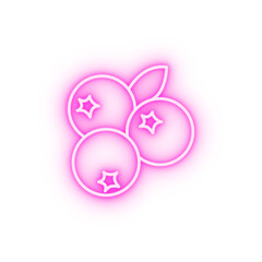 blueberries outline neon icon