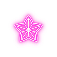 Obraz premium day of the dead flower neon icon