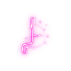Stomach Organ neon icon