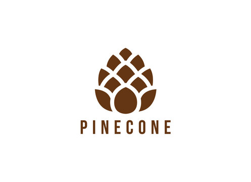 Minimalist pinecone logo vector. Pine tree logo 
