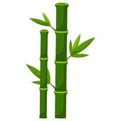 bamboo plant leaves nature fresh from asia