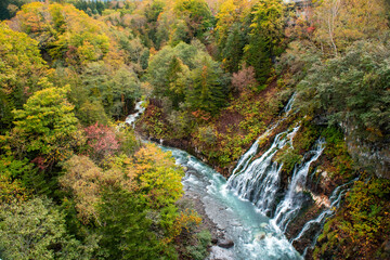 色鮮やかな白髭の滝