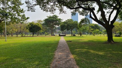公園の小道