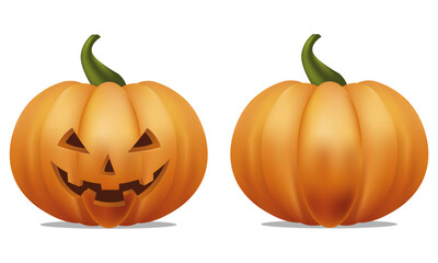 halloween pumpkin isolated on white vector 
