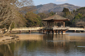 Obraz premium peaceful winter Nara Park