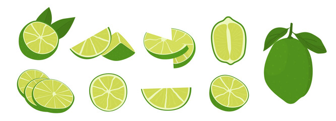 Vector flat style set of lime. Whole key lime, sliced, cutted in half and citrus wedges. Composition of fruit slices. Delicious juicy citron for cocktails. 