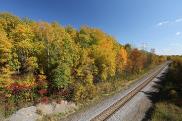 Fototapeta na wymiar railroad in autumn forest