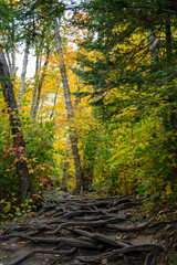 Beautiful Killarney provincial park in Canda