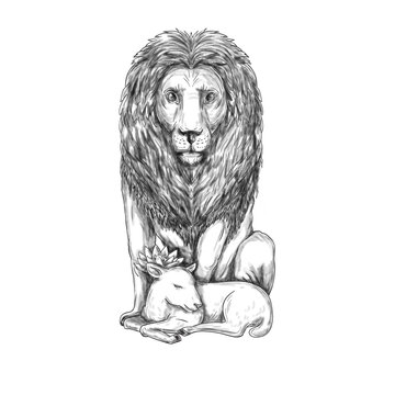 Lion Watching Over Lamb Tattoo