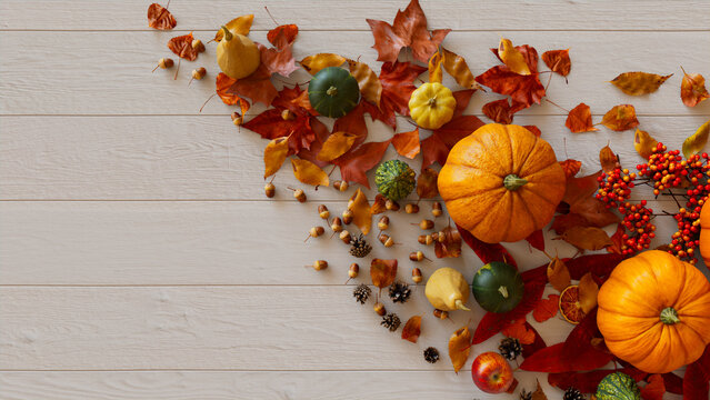 Top down view of White wood Tabletop with leaves, Pumpkins and Pine cones.