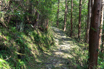 Obraz premium 高知県いの町程野の9月頃の景色