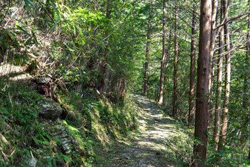 高知県いの町程野の9月頃の景色