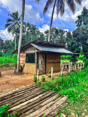 hut in a village 
