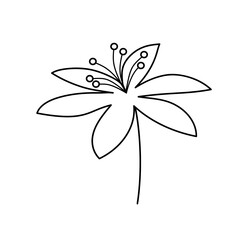 Hand drawn flower in line art doodle style. Botanical decorative element.