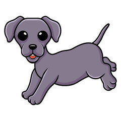 Cute little weimaraner dog cartoon