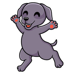 Fototapeta premium Cute weimaraner dog cartoon running