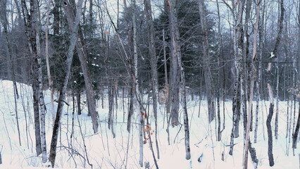 Muskoka, Ontario, Canada