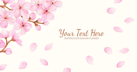 Manual painted of sakura flower or cherry blossom watercolor as background frame.