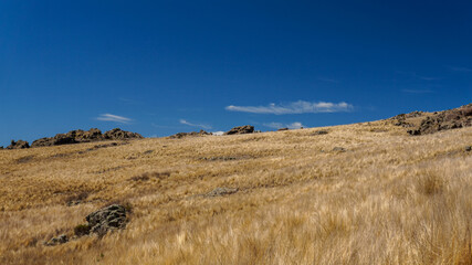 "quebrada del condorito" national park landscape on a warm spring morning 