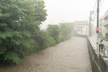 台風　2022年　台風15号　増水する神田川