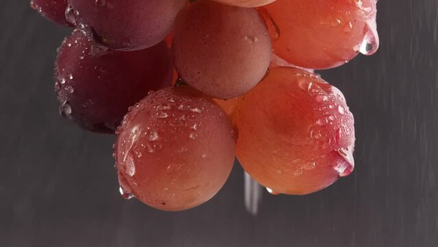 ripe grapes in studio