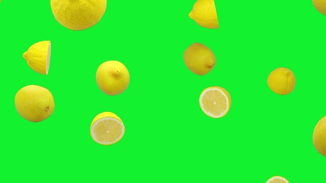 Lemons are falling into transparent space on green screen background. Seamless looped 4K Footage