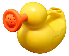duck shower isolated