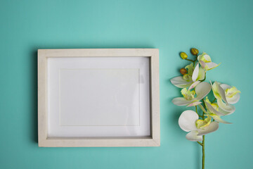 White wooden frame with orchid on mint background. 