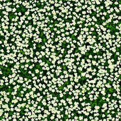 Flowering clover background, can be tiled