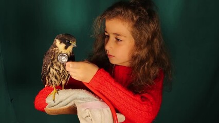 Girl takes care of a falcon and examines it with a stethoscope.
Kid wants to become an exotic vet or zoologist.
Child holds (Eurasian hobby), will return it back to nature by her veterinarian father