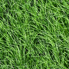 Grass growing wild, can be tiled