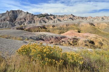 Desert mountain landscape with colored rocks and blooming flowers.