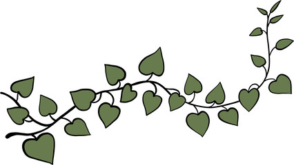 simplicity ivy freehand drawing.