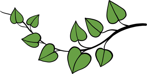 simplicity ivy freehand drawing.