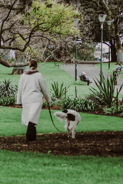 Paseando al perro