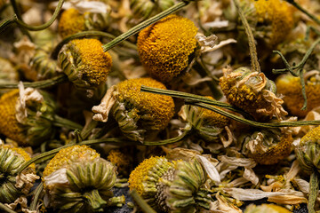 Background in the form of dried chamomile flowers. Ingredient for herbal tea, medicinal decoction.