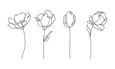 Continuous Line Drawing Of Plants Black Sketch of Flowers Isolated on White Background. Flowers Set One Line Illustration for Minimalist Design. Vector EPS 10. 