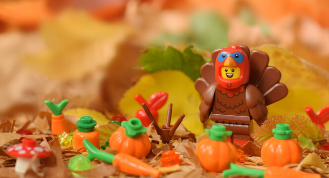 Lego minifigure happy cute turkey bird with pumpkin at autumn leaves.  Editorial illustrative image of thanksgiving holiday with minifigure serie 23.
