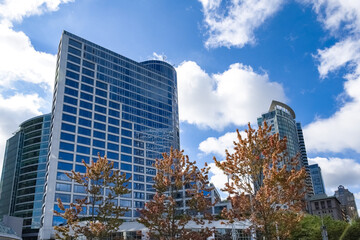 Vancouver, city in Canada, buildings in the center, skyscraper of the city
