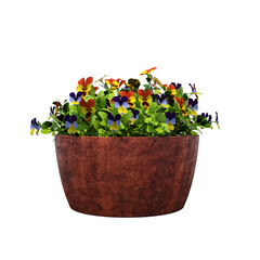 decorative flower in a pot isolate on a transparent background, 3D illustration, cg render