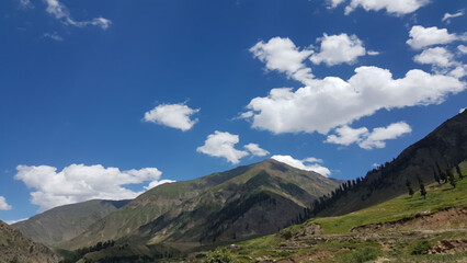 landscape with blue sky and clouds