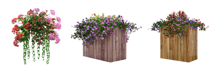 decorative flower in a pot isolate on a transparent background, 3D illustration, cg render - obrazy, fototapety, plakaty