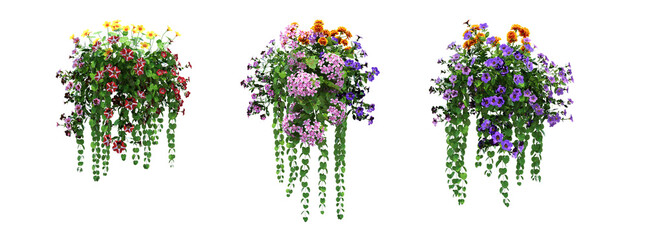 decorative flower in a pot isolate on a transparent background, 3D illustration, cg render